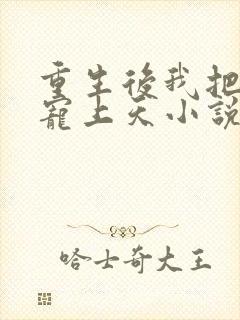 重生后我把前夫宠上天小说封面