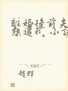 离婚后前夫总是想追我 小说