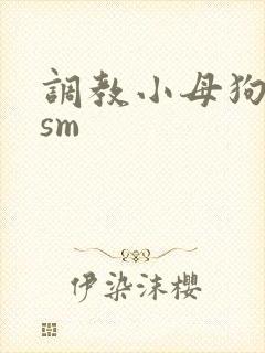 调教小母狗小说sm