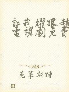 许我耀眼赵露思电视剧免费观看全集在线播放