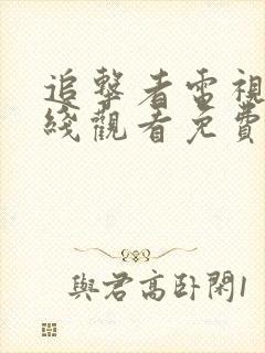 追击者电视剧在线观看免费观看完整版封面