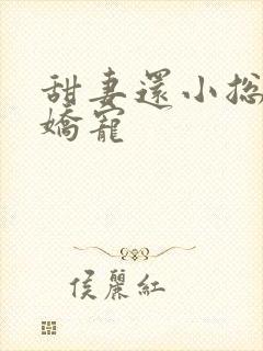 甜妻还小总裁需娇宠封面