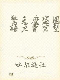 惊天魔盗团2国语免费完整版