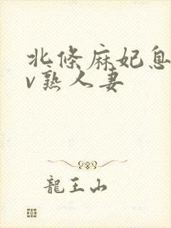 北条麻妃息子av熟人妻