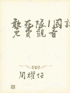 敢死队1国语版免费观看