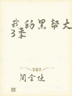 我的黑帮大佬第3季