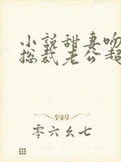 小说甜妻吻安:总裁老公超棒的