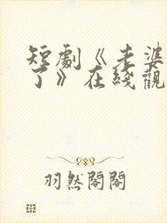 短剧《老婆别追了》在线观看封面