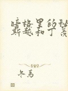 暗格里的秘密周斯越和丁羡第几集在一起