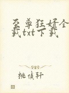 至尊狂婿全文下载txt下载
