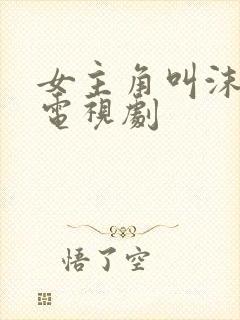 女主角叫沫沫的电视剧封面