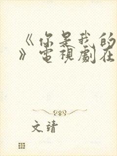 《你是我的荣耀》电视剧在线观看