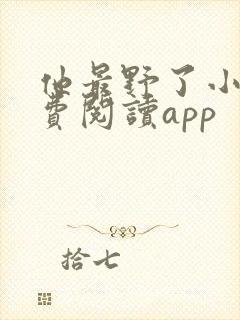 他最野了小说免费阅读app封面