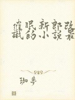 催眠新郎改变常识的小说最新章节更