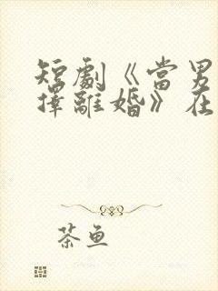 短剧《当男人选择离婚》在线观看