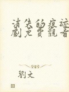 消失的痕迹电视剧免费观看全集完整版封面