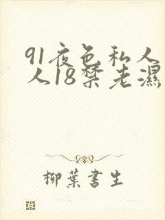91夜色私人成人18禁老湿电影