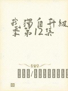 我独自升级第二季第12集