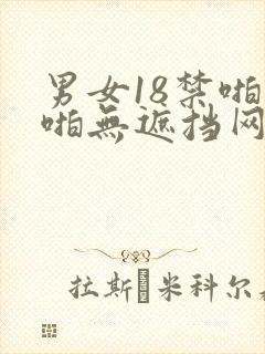 男女18禁啪啪啪无遮挡网站