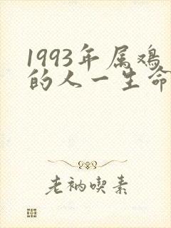 1993年属鸡的人一生命运如何