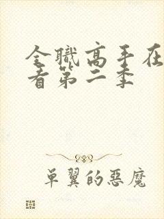 全职高手在线观看第二季