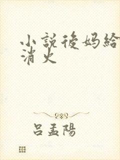 小说后妈给我消消火