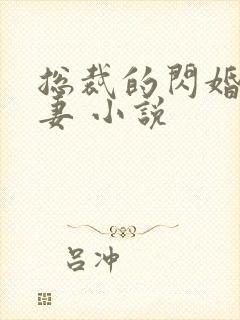 总裁的闪婚契约妻 小说