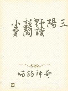 小说野阳玉子免费阅读