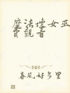 魔法坏女巫2免费观看