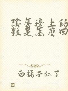 阴唇边上的小颗粒是怎么回事