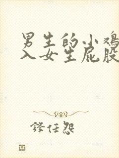 男生的小鸡鸡插入女生屁股里