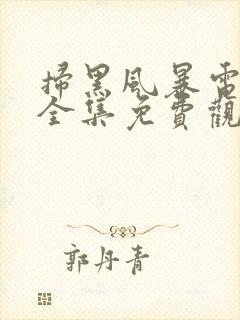 扫黑风暴电视剧全集免费观看