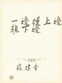 一边摸上边一边亲下边