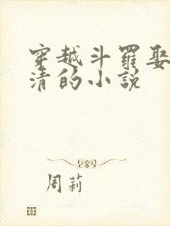 穿越斗罗娶朱竹清的小说