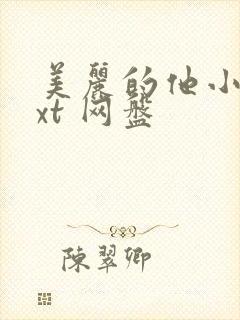 美丽的他小说txt 网盘封面