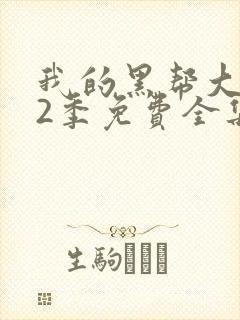 我的黑帮大佬第2季免费全集封面