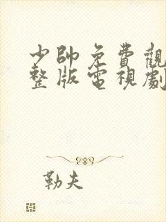 少帅免费观看完整版电视剧赵露思