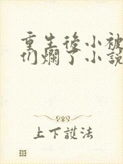 重生后小被男神们烂了小说笔趣阁