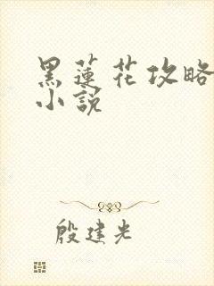黑莲花攻略手册小说