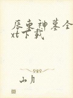 辰东神墓全文txt下载封面