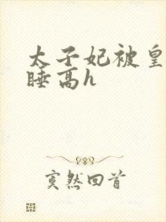 太子妃被皇上强睡高h