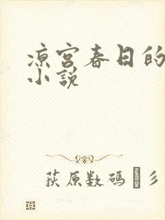 凉宫春日的忧郁小说