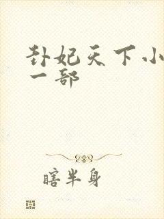 卦妃天下小说第一部