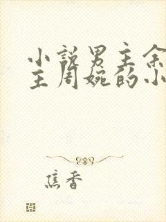 小说男主余年女主周婉的小说