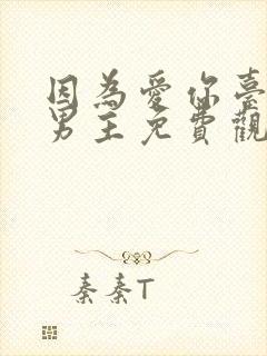 因为爱你台剧双男主免费观看