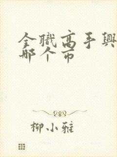 全职高手兴欣在哪个市