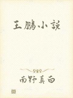 王鹏小说