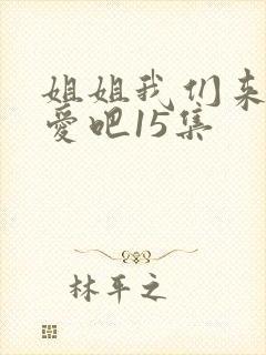 姐姐我们来谈恋爱吧15集