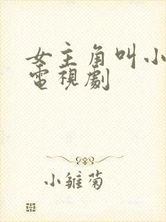 女主角叫小雨的电视剧封面