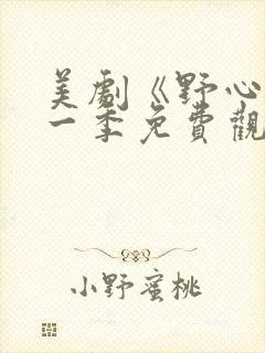 美剧《野心》第一季免费观看